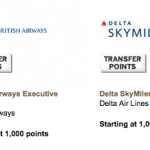 American Express Travel Partners